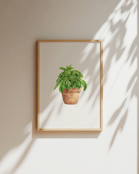Basil Art Print